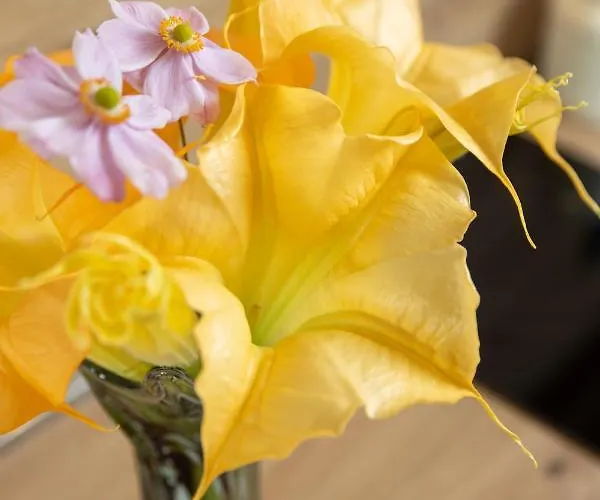 Altamar Seaview Appartement *